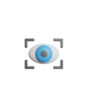 vision icon